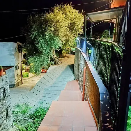 La Pace * Savoca