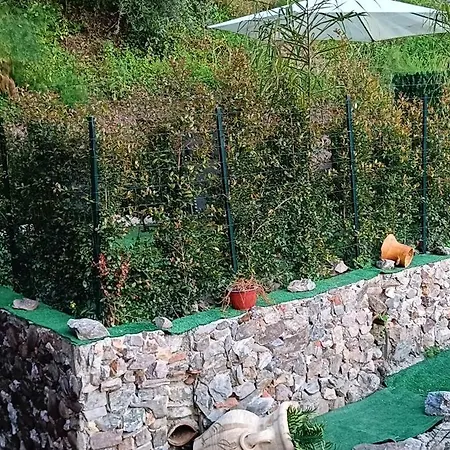 La Pace Savoca