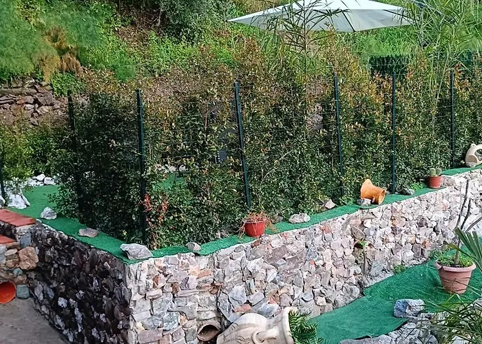 La Pace سافوكا